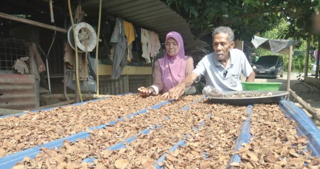 Pasangan suami isteri gigih usahakan ubatan herba tradisional