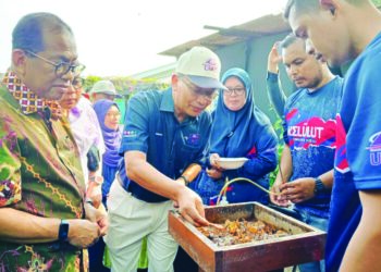 MOHAMED KHALED Nordin (kiri) melihat proses menyedut  madu kelulut dari sarangnya di Kampung Sedili Kecil, Kota Tinggi, semalam.