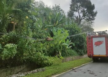 POKOK tumbang menghempap seorang pelajar yang maut dalam kejadian di Kampung Charuk Sireh, Sik.