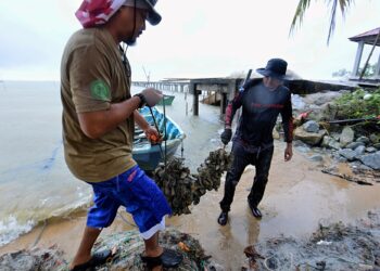 DEWANA Haris (kiri) membantu abangnya Mahadir Haris mengangkat hasil kupang yang telah dituai di Kampung Balak, Pasir Panjang, Port Dickson.-UTUSAN/MOHD. SHAHJEHAN MAAMIN.
