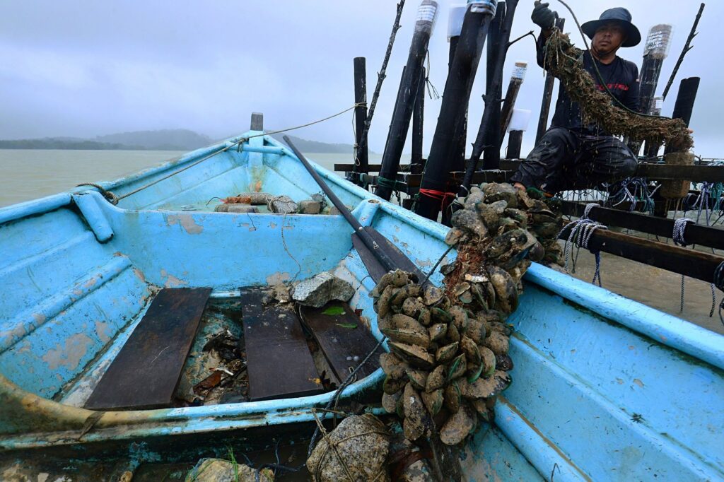 UTU NSE KUPANG NELAYANLEGA001