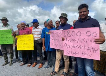 PESAWAH berhimpun memohon suara mereka didengar agar kerajaan menaikkan harga lantai belian padi daripada RM1,300 kepada RM1,800 berikutan kos tinggi terpaksa ditanggung mereka di Kampung Pida Lima, Kubang Pasu.