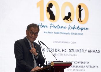 DZULKEFLY AHMAD