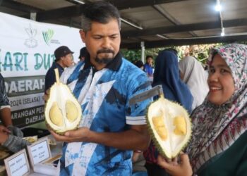 MUHD. RIZAL Baharom (kiri) bersama Pegawai Pertanian Daerah Lipis, Juliana Din menunjukkan durian kampung premium sempena Hari Durian Daerah Lipis, Lipis, hari ini. - UTUSAN/SALEHUDIN MAT RASAD