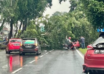 KEJADIAN pokok tumbang berhampiran Petronas Likas di Kota Kinabalu hari ini