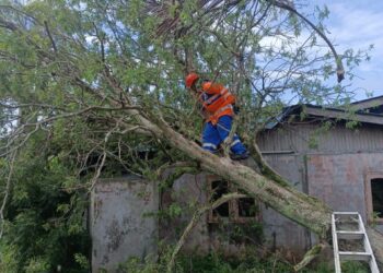 SEORANG anggota APM Daerah Yan memotong sebatang pokok asam yang tumbang dan menghempap bumbung rumah seorang penduduk dalam kejadian ribut di Kampung Sungai Kering, Yan. - UTUSAN/ OTHMAN YAHAYA