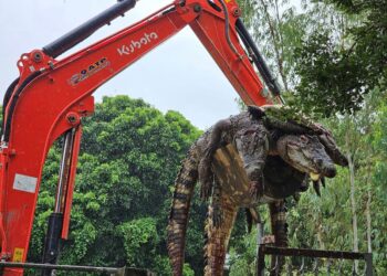 FOTO disiarkan pemilik ladang buaya, Natthapak Khumkad di Facebook, menunjukkan bangkai buaya dipindahkan dengan jengkaut.- AFP