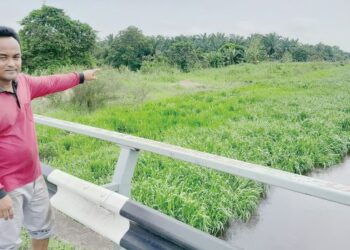MOHD. Shahrizal Tukimon menunjukkan Sungai Sanglang yang dipenuhi rumput tebal menyebabkan banjir termenung di Jalan Parit Keliling, Kampung Parit Lancang, Ayer Baloi, Pontian.