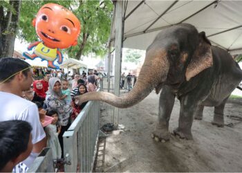 PENGUNJUNG tidak melepaskan peluang untuk berinteraksi dengan gajah yang menjadi antara tarikan pada MAHA 2024.