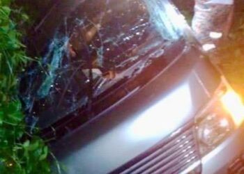 PASUKAN bomba mengeluarkan mangsa tersepit dalam van yang terbabas lalu terjatuh gaung di Kundasang, Ranau semalam.