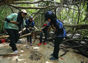SEBAHAGIAN sukarelawan yang menyertai program pembersihan pantai di Pantai Tanjung Tuan, Port Dickson hari ini.-UTUSAN/MOHD. SHAHJEHAN MAAMIN