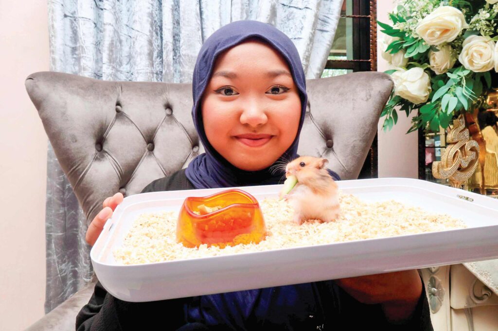 Iman, Imani hamster comel dan aktif