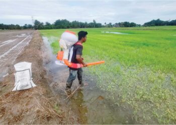 MOHD. Fitri Daniel Azhar mengambil upah membaja sawah di Kampung Sungai Manik di Pasir Salak. – UTUSAN/AIN SAFRE BIDIN