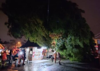ANGGOTA bomba sedang melakukan kerja-kerja memotong sebatang pokok bunut yang tumbang menghempap pondok pengawal di SMK Kadok, Kota Bharu, Kelantan malam tadi-IHSAN BOMBA.
