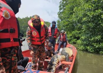160924-Sbh-tangkapBuaya
ANGGOTA bomba membawa buaya yang berjaya ditangkap di Kampung Marudu Darat, Kota Marudu hari ini. - IHSAN BOMBA
