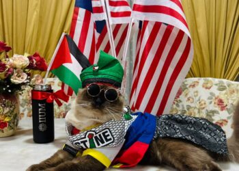 DIET seimbang penting bagi memastikan kesihatan Ragdoll
sentiasa berada dalam keadaan optimum.