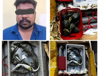 ANTARA hidupan liar dirampas polis daripada sindiket penyeludupan di KLIA semalam