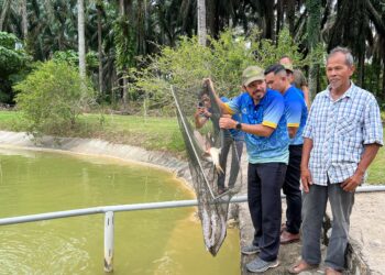 MOHD. Uzir Mahidin (dua dari kanan) melihat ikan kelah yang diusahakan oleh Mat Nawi Hussin (kanan) di Kampung Lepan Jaya, Gua Musang, Kelantan.UTUSAN/AIMUNI TUAN LAH.