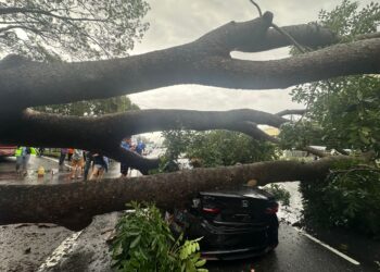 SEBUAH kereta mengalami kerosakan selepas dihempap sebatang pokok yang tumbang dalam kejadian hujan lebat dan angin kencang di Pulau Pinang semalam.