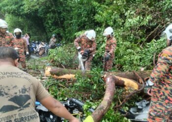 Cuaca tidak menentu, ribut dan angin kencang meningkatkan risiko pokok tumbang dan dahan patah. -IHSAN JBPM PERAK