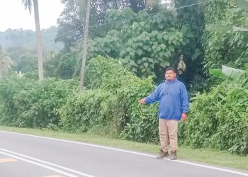 ZULZAIDI Mohd. Isa menunjukkan lokasi kehadiran haiwan liar yang didakwanya harimau kumbang 
di Kampung Mendum, Lenggeng, Seremban, baru-baru ini.
