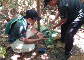 DUA anggota Perhilitan memasang kamera berdekatan tempat kejadian enam ekor kambing dipercayai dibaham harimau kumbang bagi mengenal pasti spesies haiwan terlibat di Kampung Bukit Tampoi, Alor Gajah, Melaka. UTUSAN/AMRAN MULUP