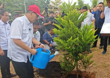 WAN ROSDY Wan Ismail menyiram pokok sebagai simbolik perasmian Majlis Sambutan Hari Hutan Antarabangsa 2024 Peringkat Negeri Pahang di Universiti Teknologi Mara (UiTM) di Raub, Pahang.