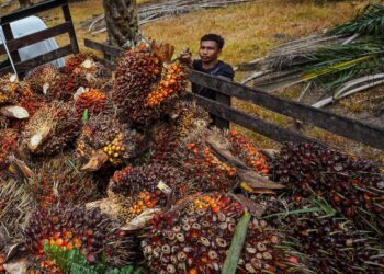 BARAT membuat propaganda dengan menyekat dan menjalankan kempen antiminyak kelapa sawit. GAMBAR HIASAN