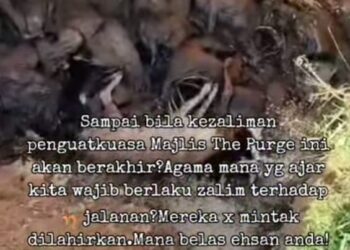TANGKAP layar video memaparkan bangkai anjing dalam lubang yang tular dalam media sosial. - UTUSAN