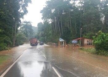 AIR Sungai Tembeling melimpah  ke atas jalan dan sebuah kediaman dalam kejadian banjir pada 10 hingga 12 Disember lalu  di jalan Paya Garok di Jerantut, Pahang.