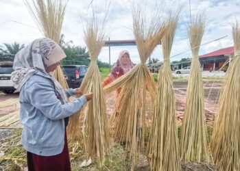 SITI Ramlah Jalil dibantu anaknya, Nazira Jamhari menjemur pucuk nipah sebelum disiat untuk dibuat rokok gulung di kampung Hujung Rintis, Sungai Besar Kota Setia di Pasir Salak, Perak semalam.– UTUSAN/AIN SAFRE BIDIN