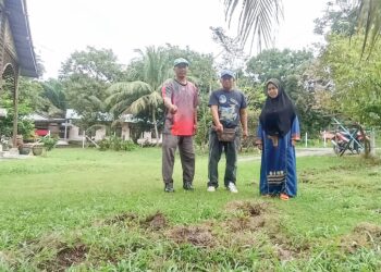 PENDUDUK menunjukkan kawasan laman rumah yang dirosakkan babi liar di Kampung Sungai Kurong, Chenderiang, Tapah, Perak, semalam. 
– UTUSAN/MEGAT LUTFI MEGAT RAHIM