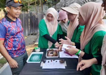 SEBAHAGIAN daripada peserta acara Explore Mangrove Tanjung Piai menyelesaikan tugasan yang diberikan di Taman Negara Johor Tanjung Piai, Pontian, pada acara yang dianjurkan sempena Festival D'Kukup 2.0.