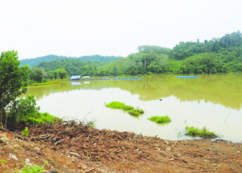 PROJEK ikan sangkar aktiviti terbaharu penduduk sebagai sumber ekonomi di Tasik Paya Bungor di Kuantan, Pahang. – UTUSAN/SALEHUDIN MAT RASAD