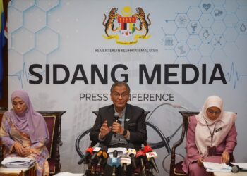 DZULKEFLY AHMAD