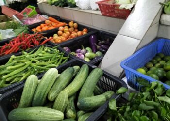 HARGA sayur dan buah-buahan naik secara mendadak hanya dalam tempoh dua minggu berdasarkan tinjauan yang dibuat oleh Persatuan Pengguna Pulau Pinang (CAP).