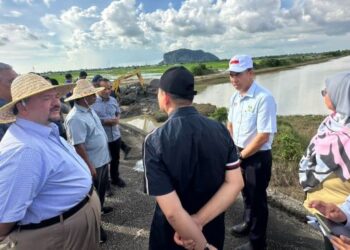 AMIR Hamzah Azizan (kiri) ketika meninjau kerosakan infrastruktur pengairan MADA dan tanaman padi di Kuala Sungai Baru, Alor Setar.