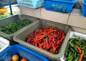 HARGA sayur-sayuran di pasar awam di Pulau Pinang khususnya cili merah meningkat dengan ketara susulan cuaca tidak menentu.