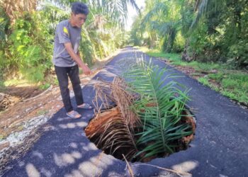 PENDUDUK menunjukkan keadaan lubang benam di laluan menuju ke kebun kelapa sawit dan ke Beting Beras Basah di Bagan Datuk. - UTUSAN/AIN SAFRE BIDIN