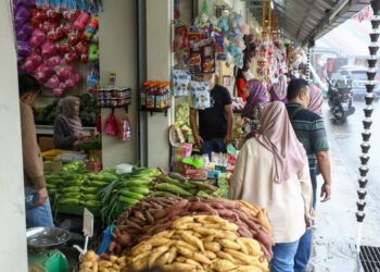 KEADAAN di Agro Bazar, Cameron Highlands yang kembali dikunjungi pelancong. - UTUSAN/MUHAMAD NAZREEN SYAH MUSTHAFA