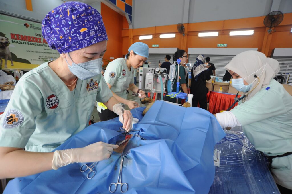 PARLIMEN: KKM teliti mekanisme ‘cross-fielding’ seimbangkan beban on-call doktor