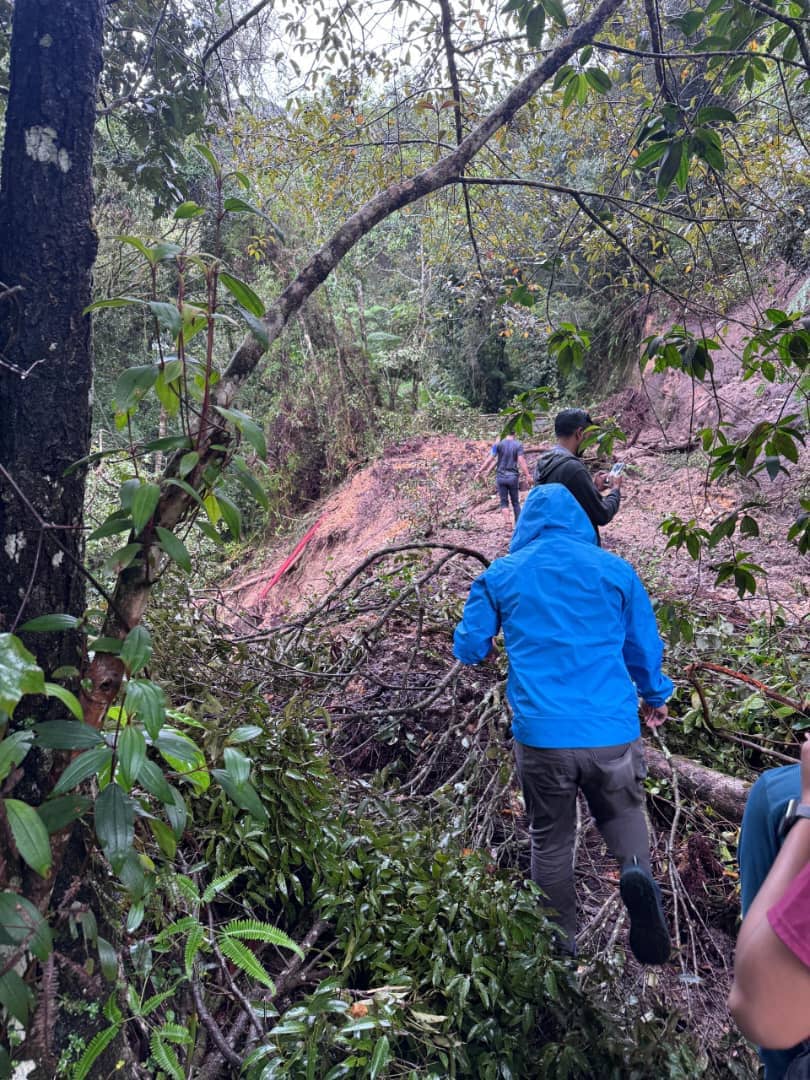 Taman Eko Rimba Mossy Forest ditutup sementara
