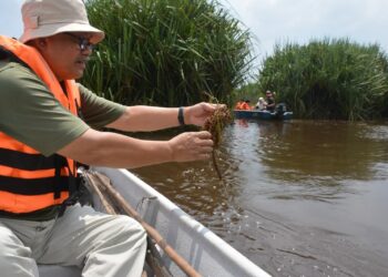 AHMAD Ismail meninjau tumbuhan akuatik yang merupakan keunikan di Tapak Ramsar Tasik Bera, Pahang semalam.