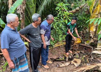 MOHAMAD Sabri Hanipa (kanan) menunjukkan sarang kelulut yang masih ada di rumahnya di Rancangan Pemulihan Tanah (RPT) Kesedar Limau Kasturi 2, Gua Musang, Kelantan.– UTUSAN/AIMUNI TUAN LAH