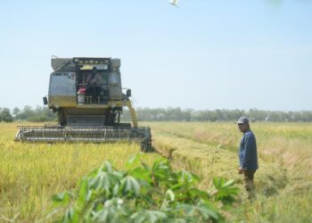 pesawah sukar melaksanakan penanaman padi lima kali dua tahun tanpa sistem pengairan yang baik.