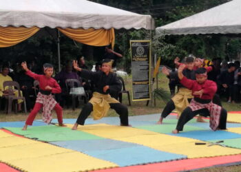 PERSEMBAHAN silat oleh Pertubuhan Silat Tarung Tapan Tiga Malaysia sempena Himpunan Tok Dekor di Hulu Terengganu, baru-baru ini. - UTUSAN/NOOR HAYATI MAMAT