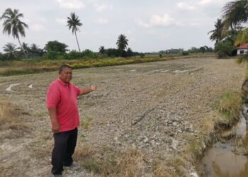 MASRUP Sukir menunjukkan sawah yang sedang dalam proses dibajak untuk musim penanaman baharu tidak lama lagi di Sungai Manik di Pasir Salak. - UTUSAN/AIN SAFRE BIDIN