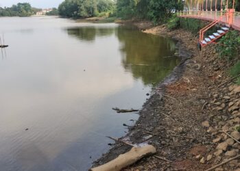 KEADAAN paras air di Tasik Bukit Merah yang mengalami penyusutan ketika tinjauan di Bagan Serai semalam. – UTUSAN/WAT KAMAL ABAS