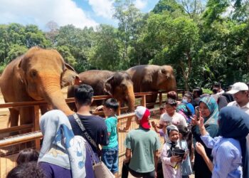 ORANG ramai tidak melepaskan peluang melihat gajah di Zoo Melaka bersempena cuti umum Hari Pengisytiharan Kemerdekaan Tanah Melayu.