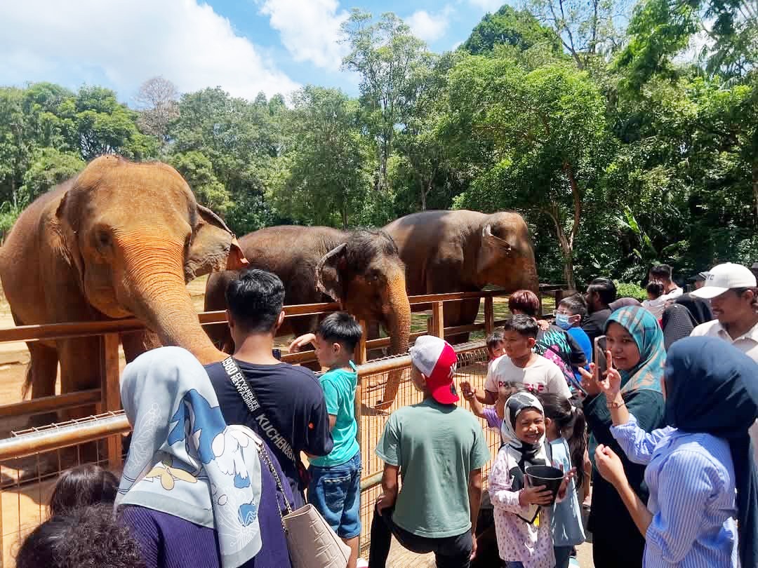 Hari Pengisytiharan Kemerdekaan Tanah Melayu disambut meriah